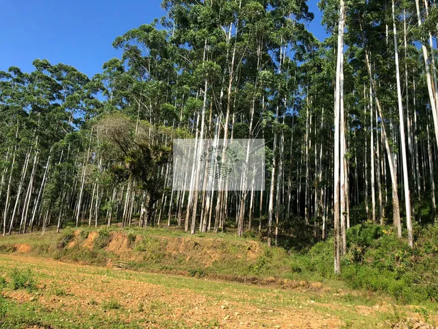 Imagem 3: Chácara com 226.000 m², 3 residências, ranchos, lagos, ótima infraestrutura