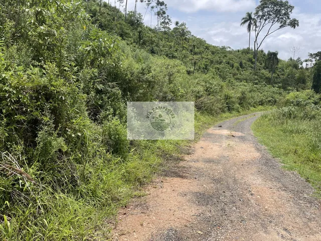 Imagem 5: Terreno para sítio com 10.649 m², lugar alto com linda vista, com contrato