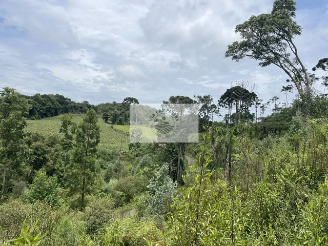 Imagem 3: Terreno para sítio com 10.649 m², lugar alto com linda vista, com contrato