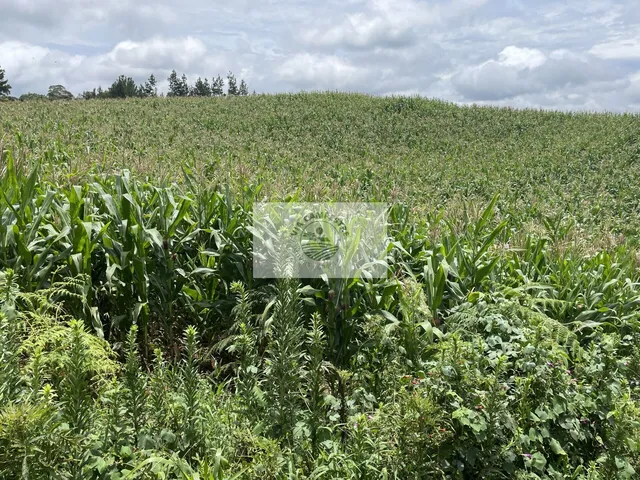 Imagem 8: Terreno para sítio com 10.649 m², lugar alto com linda vista, com contrato