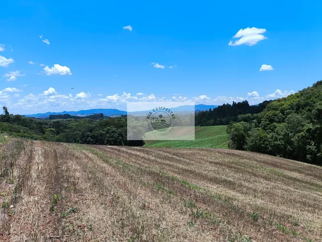 Imagem 6: Terreno para sítio com 10.649 m², lugar alto com linda vista, com contrato