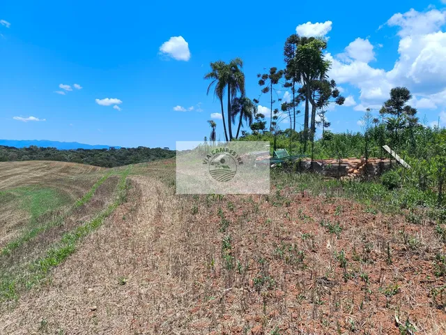 Imagem 4: Terreno para sítio com 10.649 m², lugar alto com linda vista, com contrato