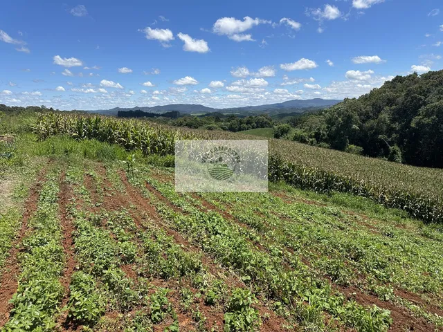 Imagem 1: Terreno para sítio com 10.649 m², lugar alto com linda vista, com contrato