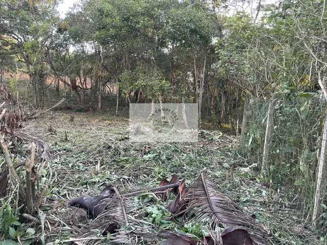 Imagem 5: Terreno para construtora com 4.149,24 m², poucos metros do Shopping Garten, gabarito