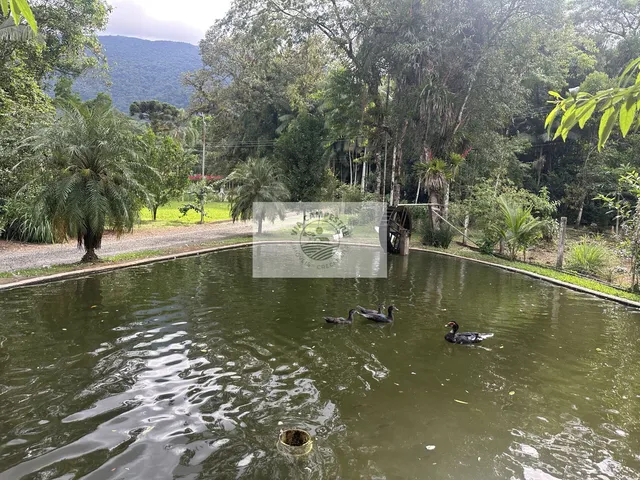 Imagem 11: Sítio com 20.000 m2, escriturado, com ampla casa com 3 quartos e demais peças