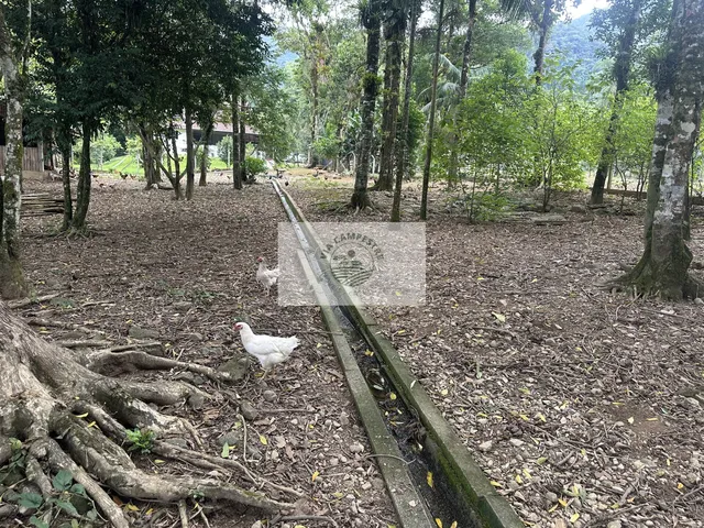 Imagem 3: Sítio com 20.000 m2, escriturado, com ampla casa com 3 quartos e demais peças