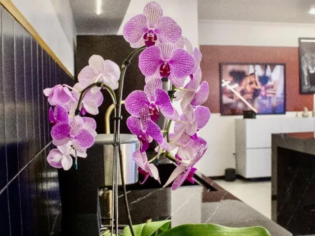 Imagem 4: Casa de alto padrão, Mobiliada com Closet e Hidromassagem em Nova Tramandaí - Venda