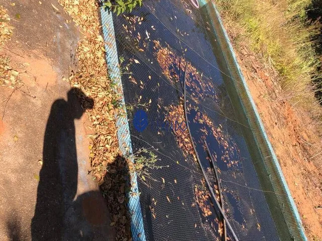 Imagem 10: Chácara de 9,67 Hectares à Venda Próximo a Nova Pecuária de Anápolis