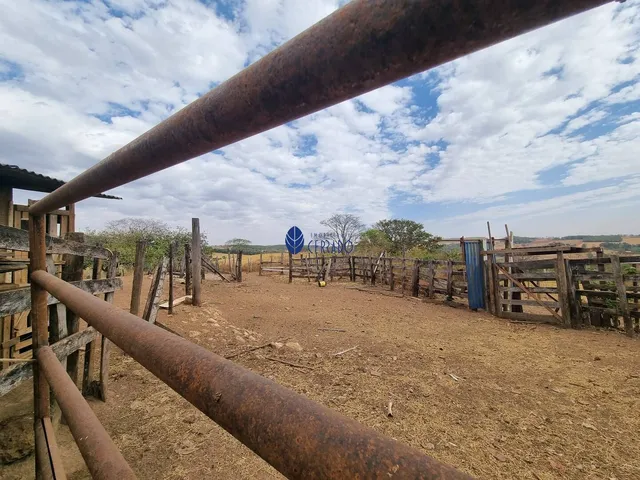 Imagem 7: Fazenda à venda próximo a Anápolis - Interlândia