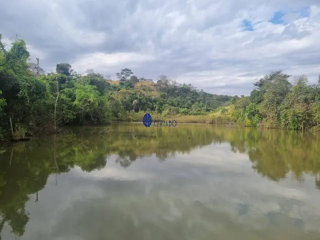 Imagem 13: Fazenda à venda próximo a Anápolis - Interlândia