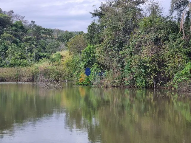 Imagem 15: Fazenda à venda próximo a Anápolis - Interlândia