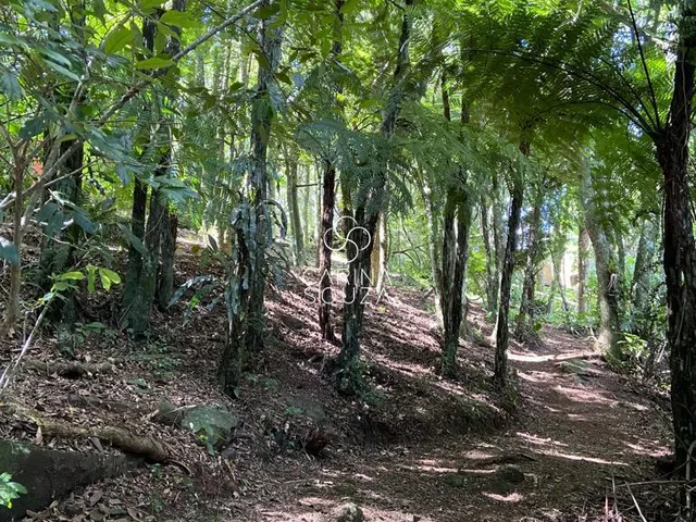 Imagem 6: Belíssimo e muito bem preservado Sítio em São Francisco de Paula, com vista exuberante