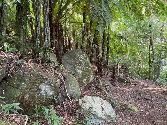 Imagem 9: Belíssimo e muito bem preservado Sítio em São Francisco de Paula, com vista exuberante