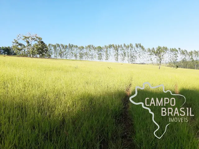 Imagem 2: FAZENDA 225 HECTARES NO SUL DE MINAS GERAIS !