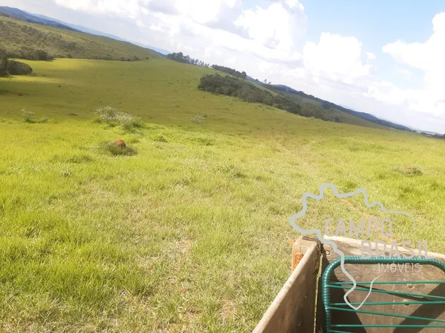 Imagem 5: FAZENDA 225 HECTARES NO SUL DE MINAS GERAIS !