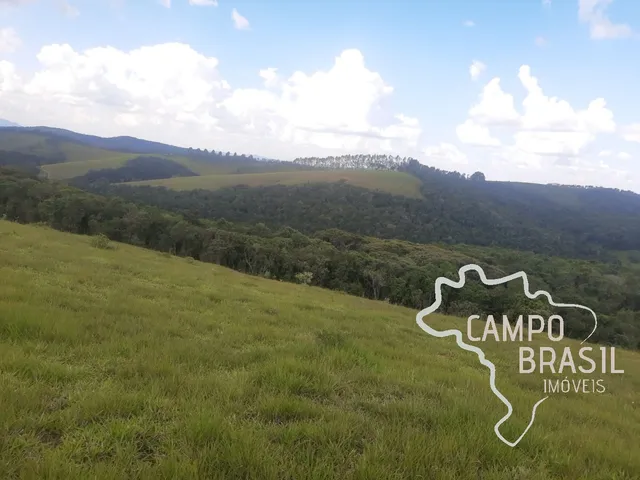 Imagem 8: FAZENDA 225 HECTARES NO SUL DE MINAS GERAIS !
