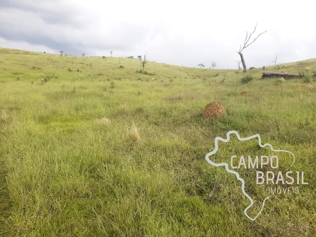 Imagem 11: FAZENDA 225 HECTARES NO SUL DE MINAS GERAIS !