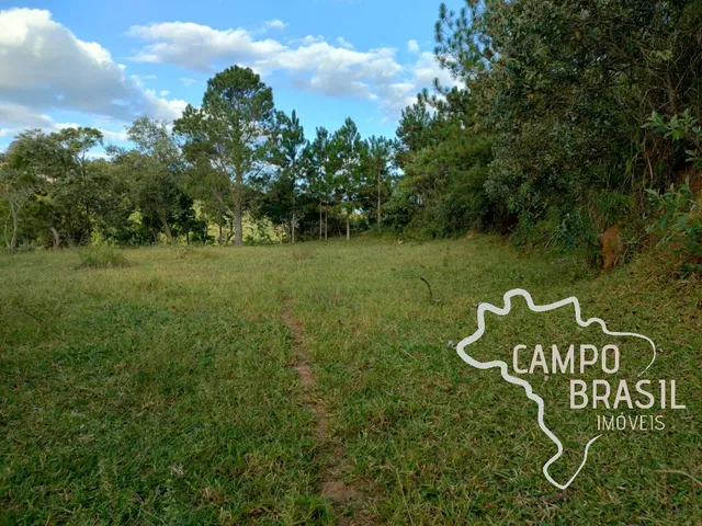 Imagem 10: SÍTIO 50.576M² COM PASTO FORMADO EM SÃO JOSÉ DOS CAMPOS !