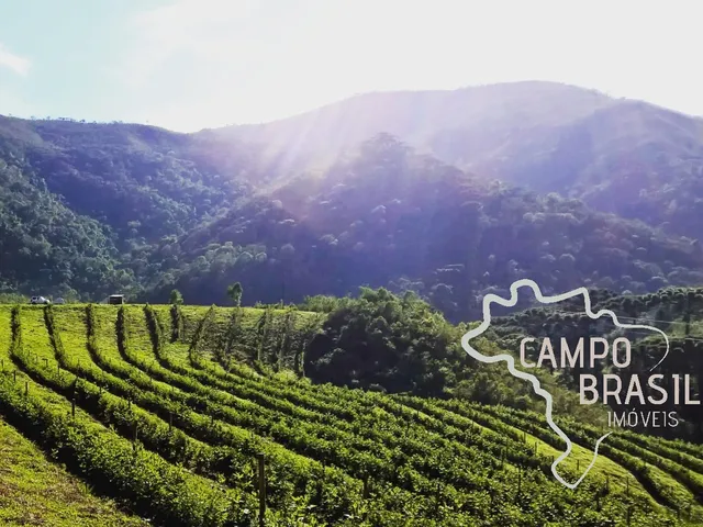Imagem: MARAVILHOSA FAZENDA 54 HECTARES EM CARVALHOS