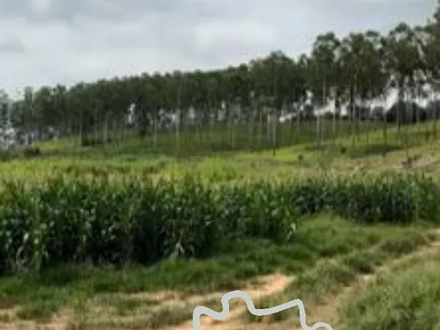 Imagem 2: FAZENDA 60 HECTARES EM POUSO ALEGRE - MG !