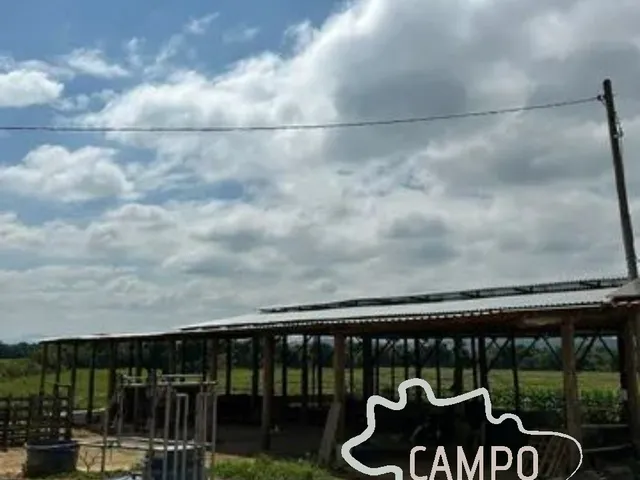 Imagem 5: FAZENDA 60 HECTARES EM POUSO ALEGRE - MG !