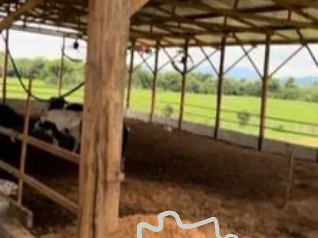 Imagem 11: FAZENDA 60 HECTARES EM POUSO ALEGRE - MG !