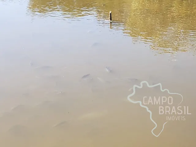 Imagem 7: CHÁCARA 3 HECTARES EM LIBERDADE - MG !