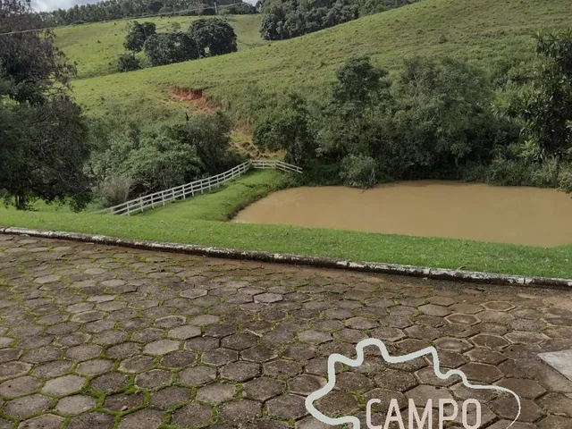 Imagem: FAZENDA COM PASTO FORMADO 246 HECTARES EM