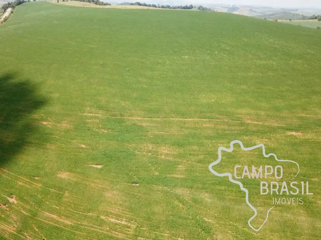 Imagem 8: LINDA FAZENDA 440 HECTARES EM CAXAMBU - MINAS GERAIS !