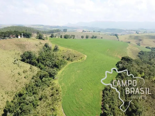 Imagem 11: LINDA FAZENDA 440 HECTARES EM CAXAMBU - MINAS GERAIS !