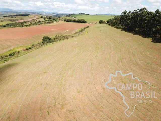 Imagem 14: LINDA FAZENDA 440 HECTARES EM CAXAMBU - MINAS GERAIS !
