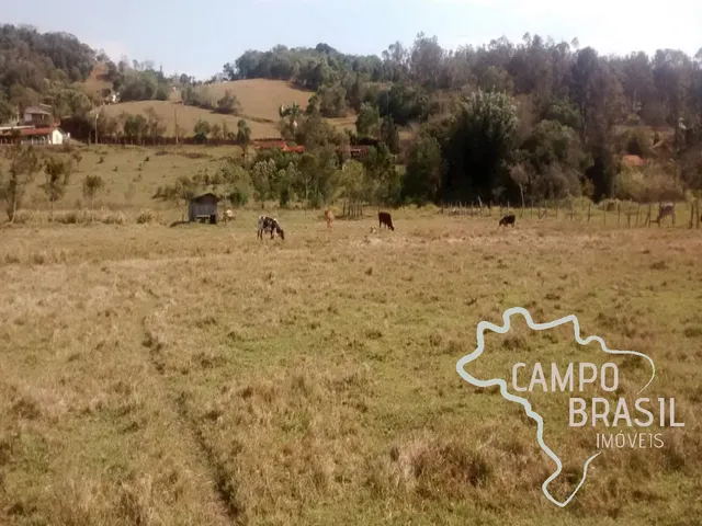 Imagem: SÍTIO 32.000M² EM PARAISÓPOLIS - MG !