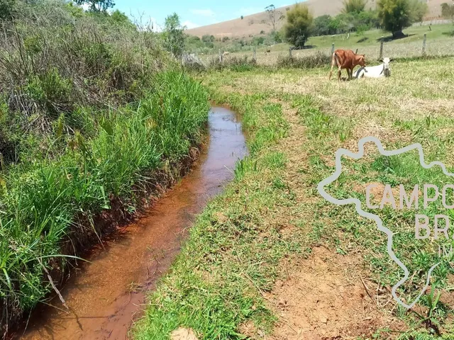 Imagem 4: SÍTIO 32.000M² EM PARAISÓPOLIS - MG !