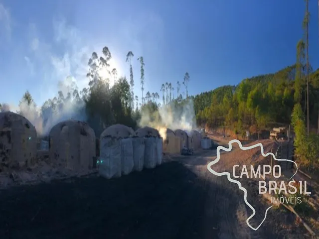 Imagem: FAZENDA 165 HECTARES EM CARVALHOS COM POTENCIAL