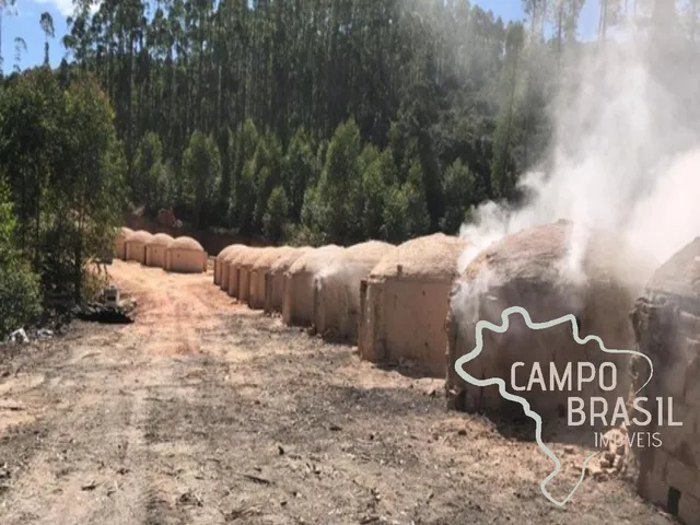 Imagem 4: FAZENDA 165 HECTARES EM CARVALHOS COM POTENCIAL TURÍSTICO E CARVOEIRO!