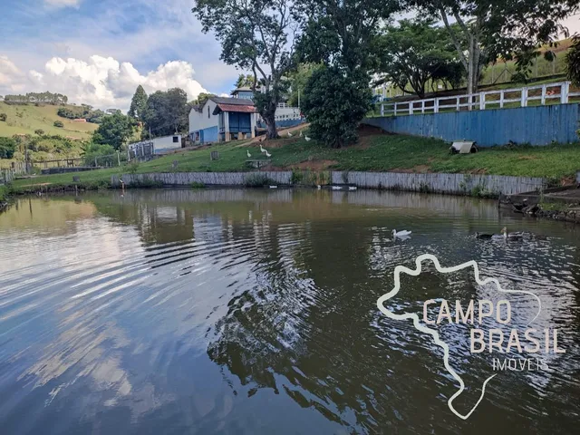 Imagem 7: LINDO SÍTIO COM 10 ALQUEIRES EM PARAISÓPOLIS, NO ASFALTO!