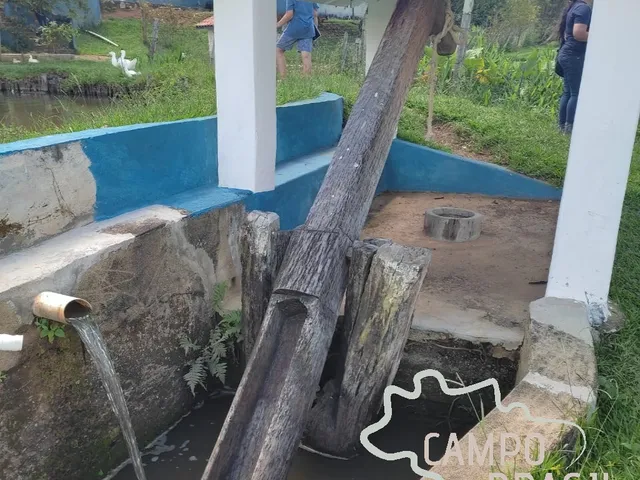 Imagem 10: LINDO SÍTIO COM 10 ALQUEIRES EM PARAISÓPOLIS, NO ASFALTO!