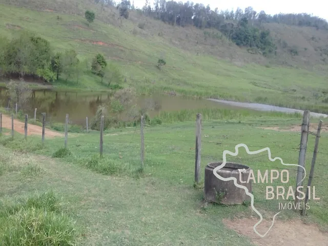Imagem 8: Fazenda de 98 alqueires no Sul de Minas!