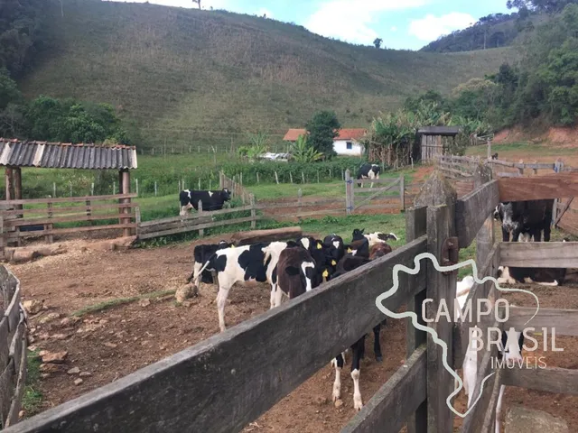 Imagem: Oportunidade rural! Fazenda para pecuária