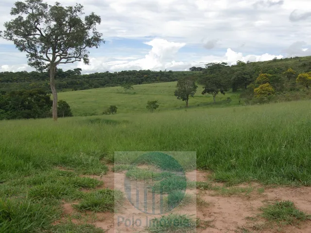 Imagem: Fazenda em Cajuru 72 Alqueires com Soja