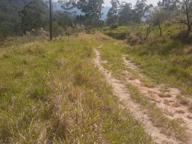 Imagem: AREA - MORUNGABA