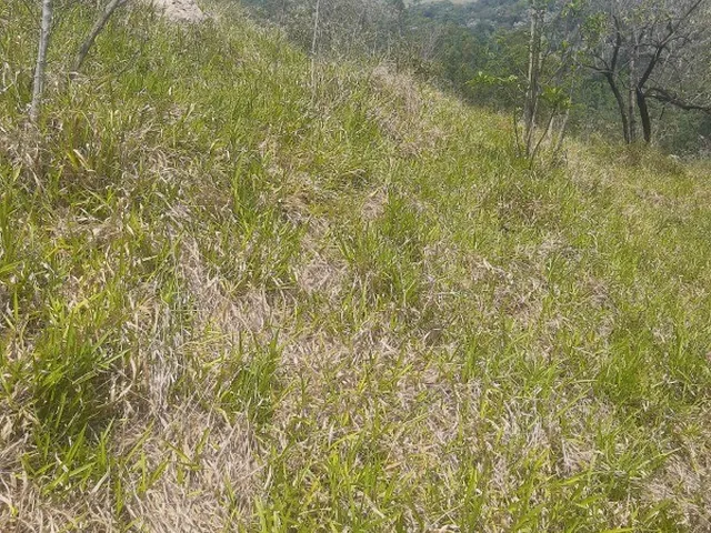 Imagem 4: AREA RESIDENCIAL em MORUNGABA - SP, MORUNGABA