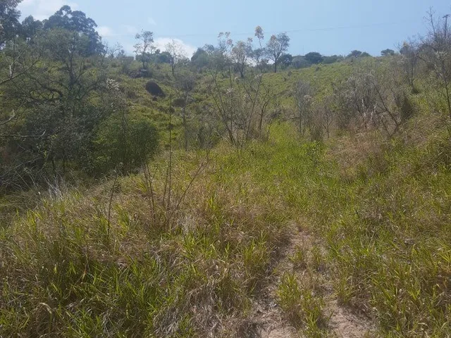 Imagem 2: AREA - MORUNGABA