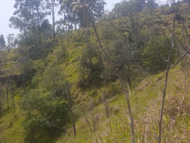Imagem 5: AREA - MORUNGABA
