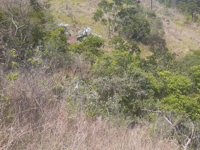 Imagem 9: AREA - MORUNGABA