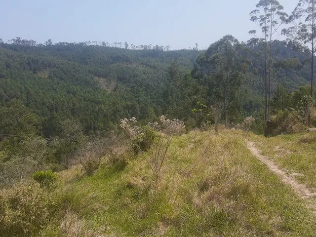 Imagem 10: AREA - MORUNGABA
