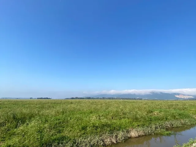 Imagem: Fazenda à venda em Tijucas, área a venda