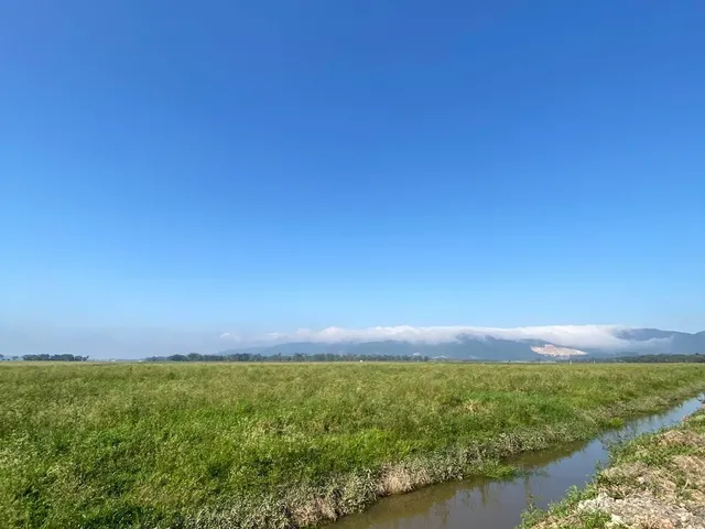 Imagem 2: Terreno a Venda em Tijucas Próximo a Cidade