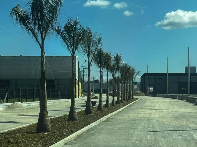 Imagem 10: TERRENO INDUSTRIAL À VENDA EM TIJUCAS