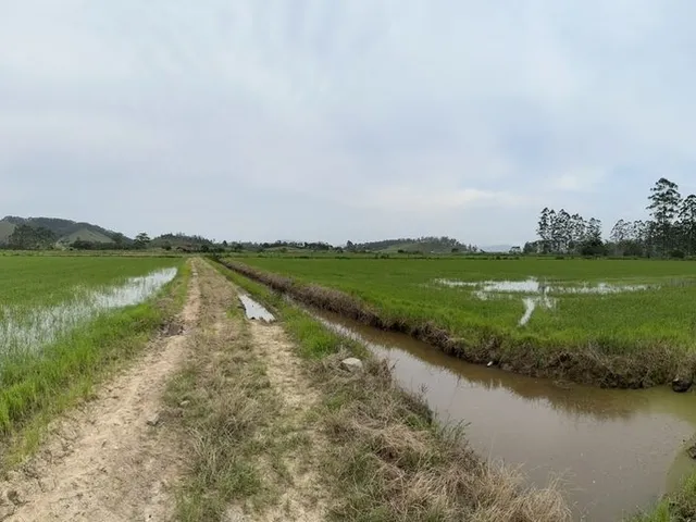 Imagem: Tereno Plano com Arrozeira a Venda em Tijucas